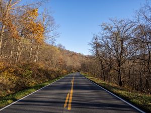 Preview wallpaper road, turn, trees, asphalt