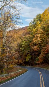 Preview wallpaper road, turn, trees, nature, autumn