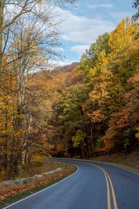 Preview wallpaper road, turn, trees, nature, autumn