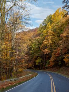 Preview wallpaper road, turn, trees, nature, autumn