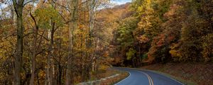 Preview wallpaper road, turn, trees, nature, autumn