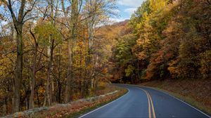 Preview wallpaper road, turn, trees, nature, autumn