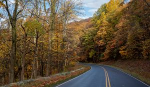 Preview wallpaper road, turn, trees, nature, autumn