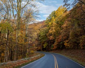 Preview wallpaper road, turn, trees, nature, autumn