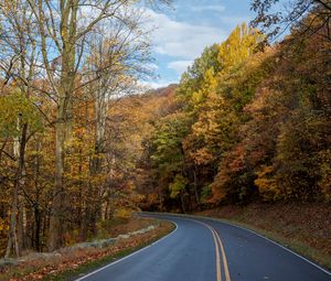 Preview wallpaper road, turn, trees, nature, autumn