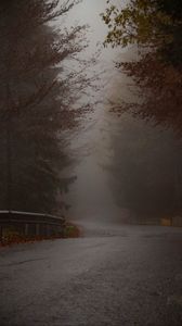 Preview wallpaper road, turn, trees, fog, autumn