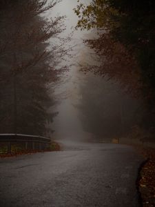 Preview wallpaper road, turn, trees, fog, autumn