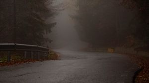 Preview wallpaper road, turn, trees, fog, autumn