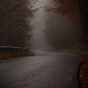 Preview wallpaper road, turn, trees, fog, autumn
