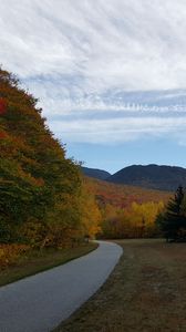 Preview wallpaper road, turn, trees, landscape, autumn