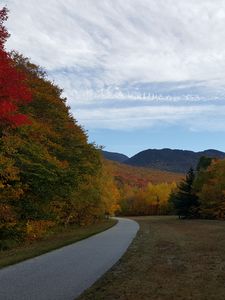 Preview wallpaper road, turn, trees, landscape, autumn
