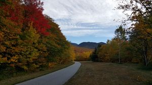 Preview wallpaper road, turn, trees, landscape, autumn