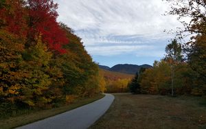 Preview wallpaper road, turn, trees, landscape, autumn