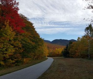 Preview wallpaper road, turn, trees, landscape, autumn