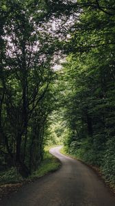 Preview wallpaper road, turn, trees, forest, nature, landscape