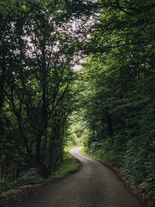 Preview wallpaper road, turn, trees, forest, nature, landscape