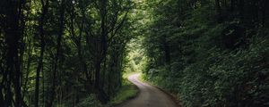 Preview wallpaper road, turn, trees, forest, nature, landscape