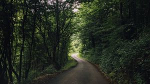 Preview wallpaper road, turn, trees, forest, nature, landscape