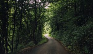 Preview wallpaper road, turn, trees, forest, nature, landscape