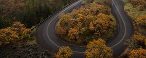 Preview wallpaper road, turn, trees, autumn, landscape, aerial view