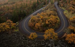 Preview wallpaper road, turn, trees, autumn, landscape, aerial view