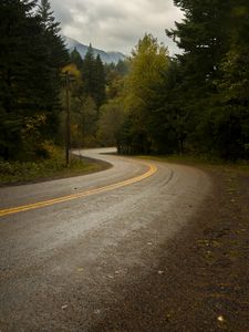 Preview wallpaper road, turn, trees