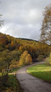 Preview wallpaper road, turn, trees, nature, forest