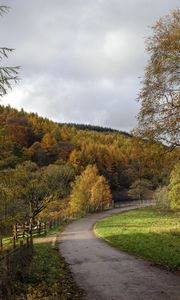 Preview wallpaper road, turn, trees, nature, forest