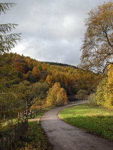 Preview wallpaper road, turn, trees, nature, forest