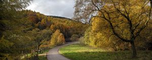 Preview wallpaper road, turn, trees, nature, forest