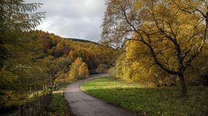 Preview wallpaper road, turn, trees, nature, forest