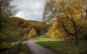 Preview wallpaper road, turn, trees, nature, forest