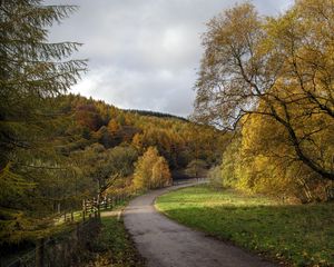 Preview wallpaper road, turn, trees, nature, forest