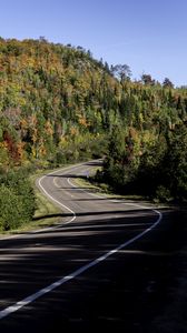 Preview wallpaper road, turn, trees, forest, shadows