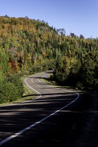 Preview wallpaper road, turn, trees, forest, shadows