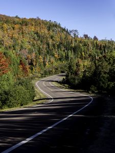 Preview wallpaper road, turn, trees, forest, shadows