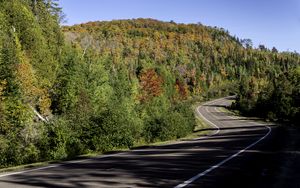 Preview wallpaper road, turn, trees, forest, shadows