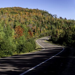 Preview wallpaper road, turn, trees, forest, shadows