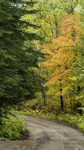 Preview wallpaper road, turn, trees, forest, autumn