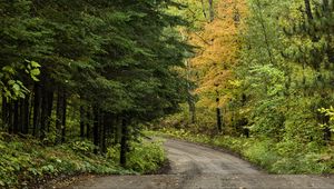 Preview wallpaper road, turn, trees, forest, autumn