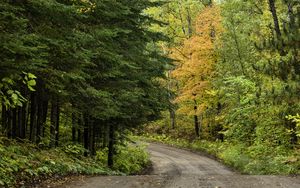 Preview wallpaper road, turn, trees, forest, autumn