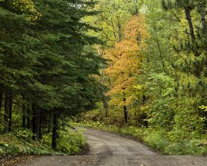 Preview wallpaper road, turn, trees, forest, autumn