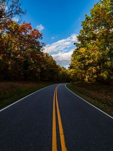 Preview wallpaper road, turn, trees, nature