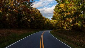 Preview wallpaper road, turn, trees, nature