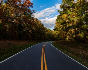 Preview wallpaper road, turn, trees, nature