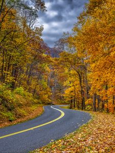 Preview wallpaper road, turn, trees, leaves, autumn