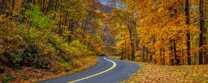 Preview wallpaper road, turn, trees, leaves, autumn