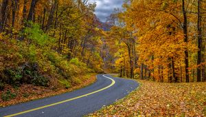 Preview wallpaper road, turn, trees, leaves, autumn