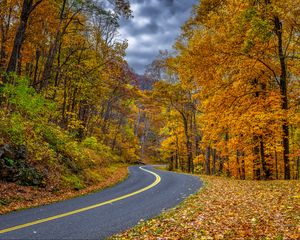 Preview wallpaper road, turn, trees, leaves, autumn