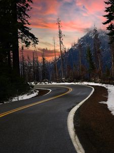 Preview wallpaper road, turn, trees, forest, snow